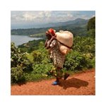 « Solidarité Santé Sud ASBL »